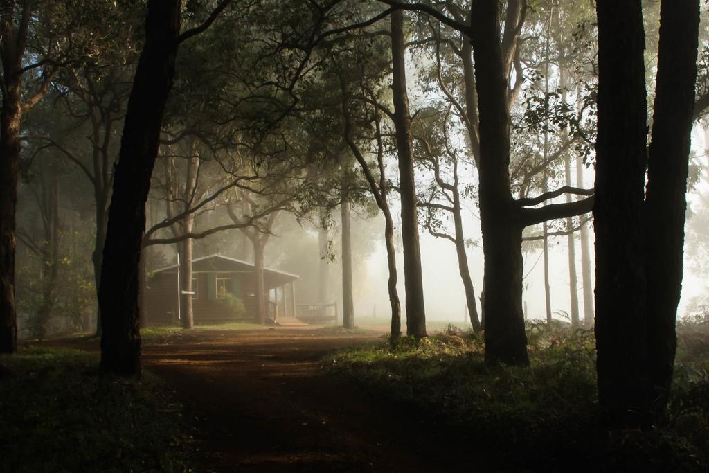 Balingup Heights Hilltop Forest Cottages Exterior foto
