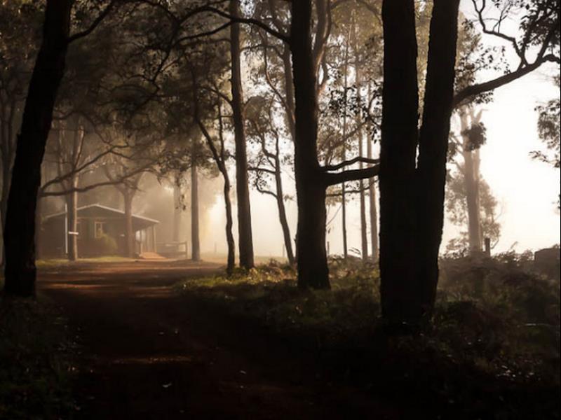 Balingup Heights Hilltop Forest Cottages Exterior foto